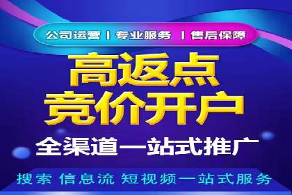 落地页在SEM优化中的重要性及成功案例